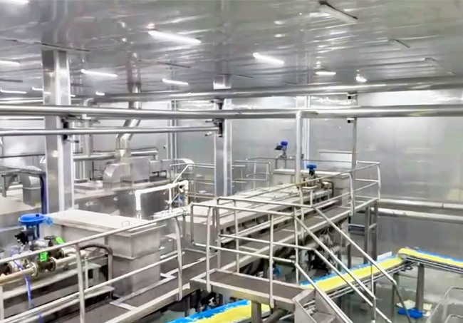 薯条加工生产线